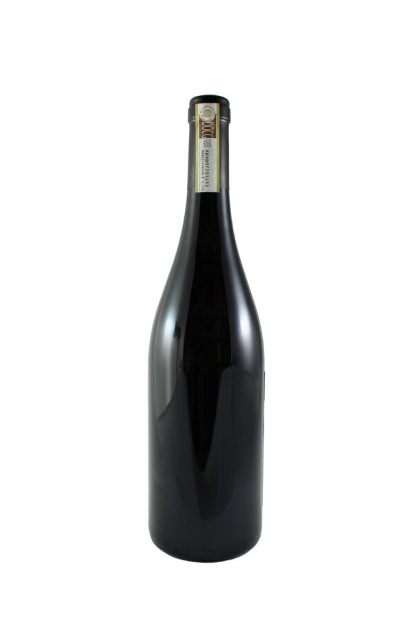 GATTINARA CONTERNO NERVI 2019 75cl 13,5% – Image 2