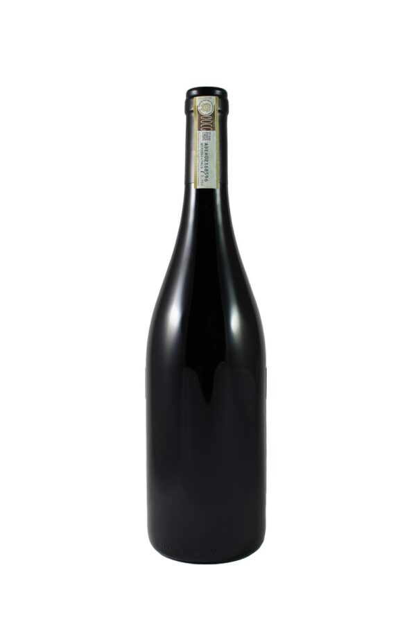GATTINARA CONTERNO NERVI VIGNA VALFERANA 2020 75cl 13,5% – Image 2